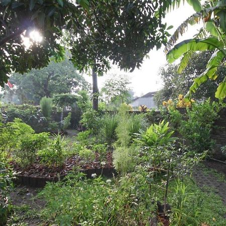 Bhumi Hostel Jogjakarta Buitenkant foto