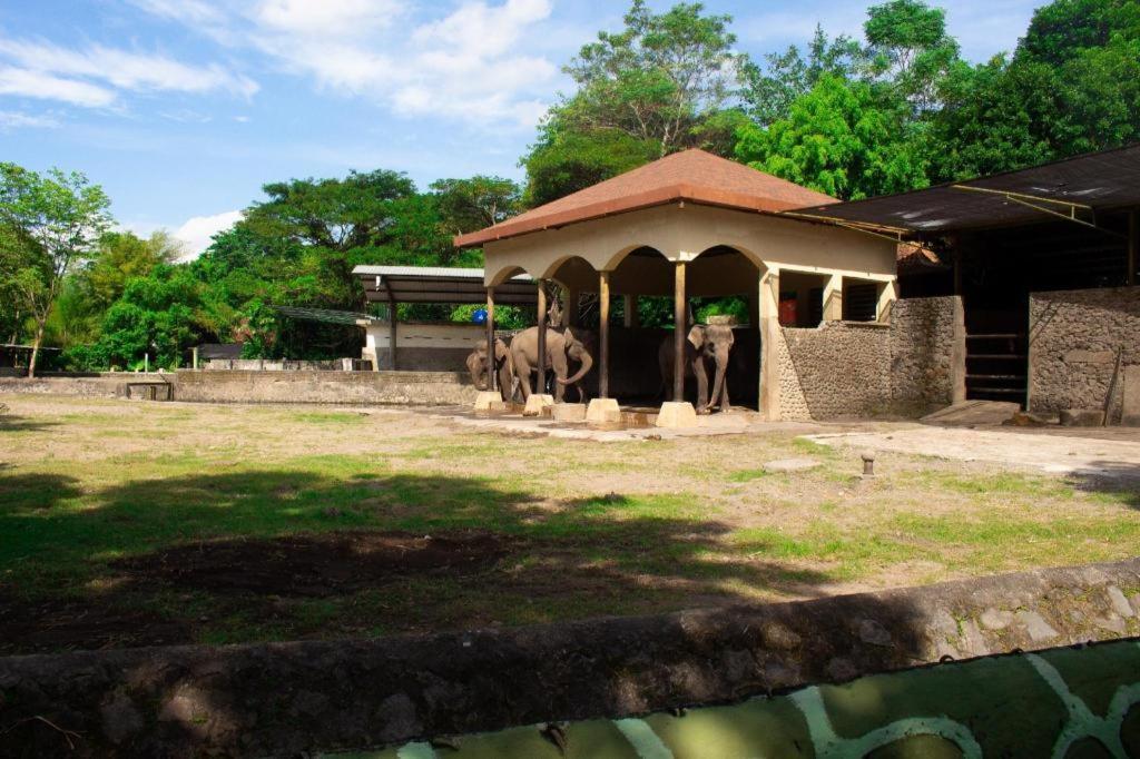 Bhumi Hostel Jogjakarta Buitenkant foto