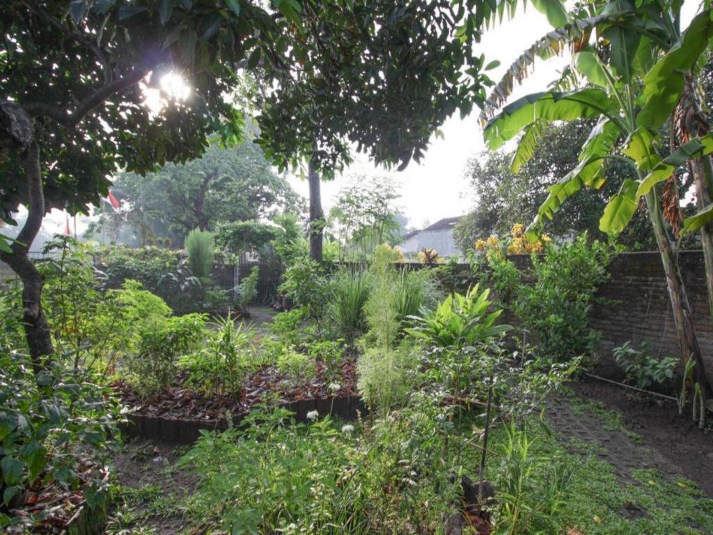 Bhumi Hostel Jogjakarta Buitenkant foto